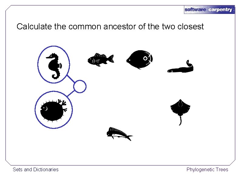 Calculate the common ancestor of the two closest Sets and Dictionaries Phylogenetic Trees 