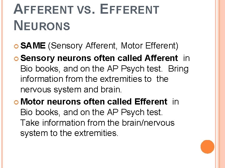 AFFERENT VS. EFFERENT NEURONS SAME (Sensory Afferent, Motor Efferent) Sensory neurons often called Afferent