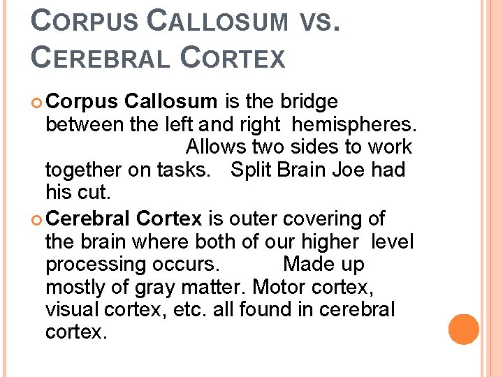 CORPUS CALLOSUM CEREBRAL CORTEX Corpus VS. Callosum is the bridge between the left and