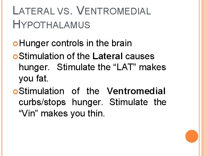 LATERAL VS. VENTROMEDIAL HYPOTHALAMUS Hunger controls in the brain Stimulation of the Lateral causes