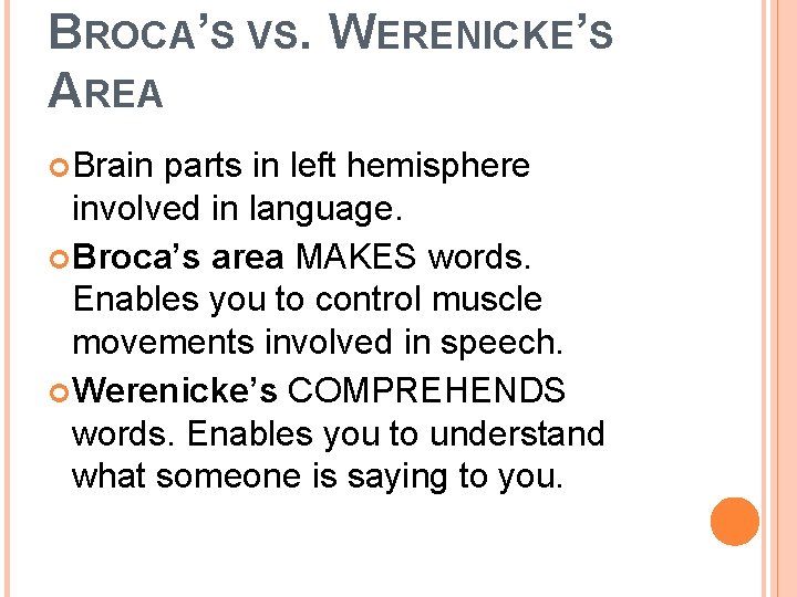 BROCA’S VS. WERENICKE’S AREA Brain parts in left hemisphere involved in language. Broca’s area