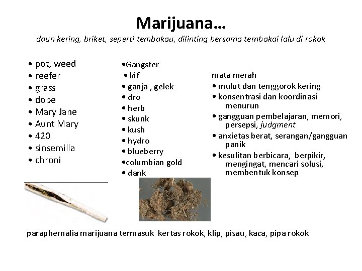 Marijuana… daun kering, briket, seperti tembakau, dilinting bersama tembakai lalu di rokok • pot,