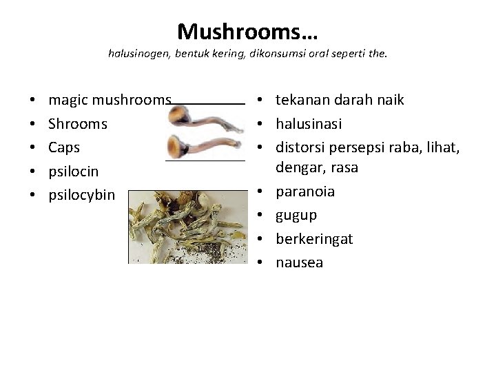 Mushrooms… halusinogen, bentuk kering, dikonsumsi oral seperti the. • • • magic mushrooms Shrooms