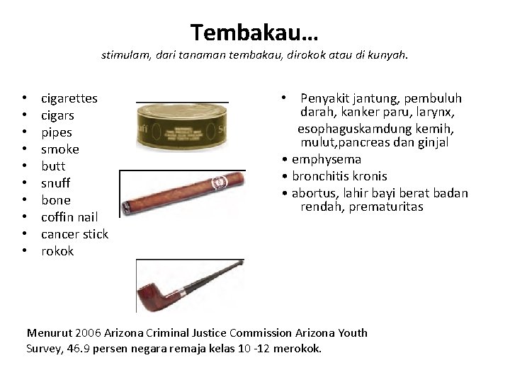 Tembakau… stimulam, dari tanaman tembakau, dirokok atau di kunyah. • • • cigarettes cigars Tembakau… stimulam, dari tanaman tembakau, dirokok atau di kunyah. • • • cigarettes cigars