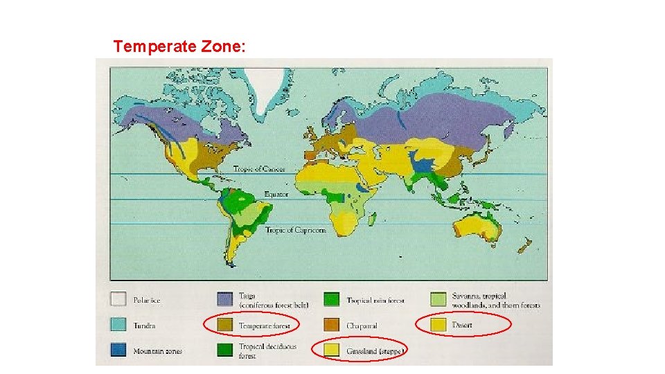 Temperate Zone: 