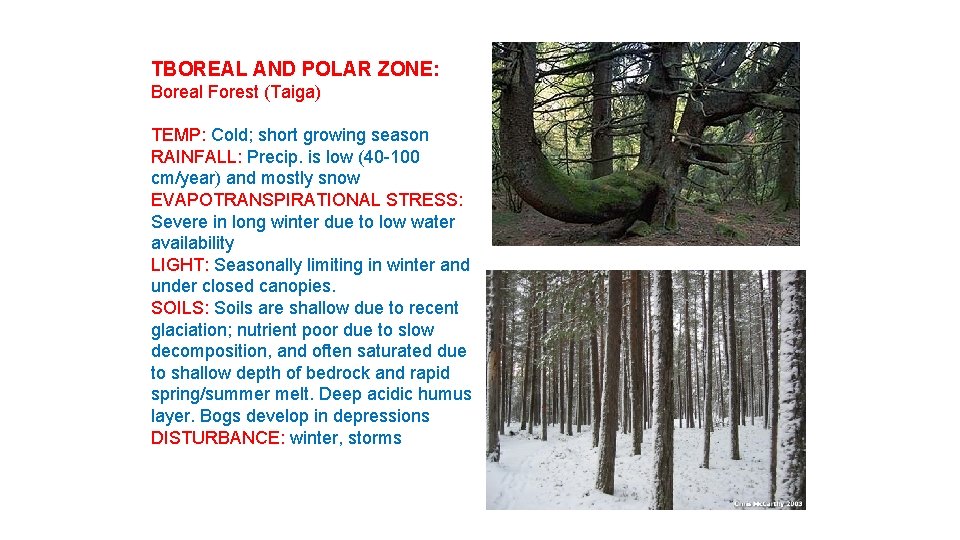 TBOREAL AND POLAR ZONE: Boreal Forest (Taiga) TEMP: Cold; short growing season RAINFALL: Precip.