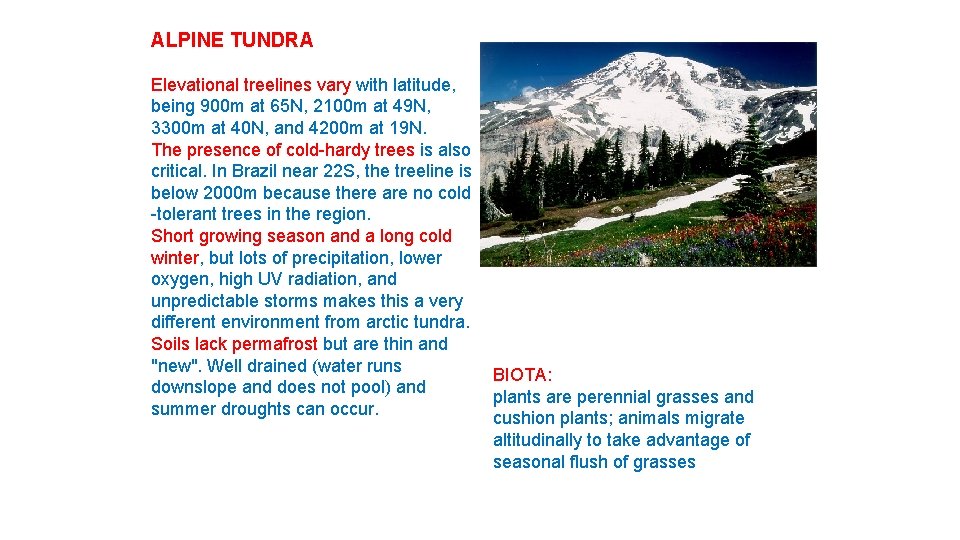 ALPINE TUNDRA Elevational treelines vary with latitude, being 900 m at 65 N, 2100