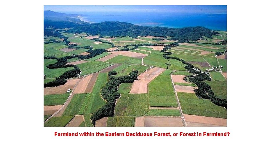 Farmland within the Eastern Deciduous Forest, or Forest in Farmland? 