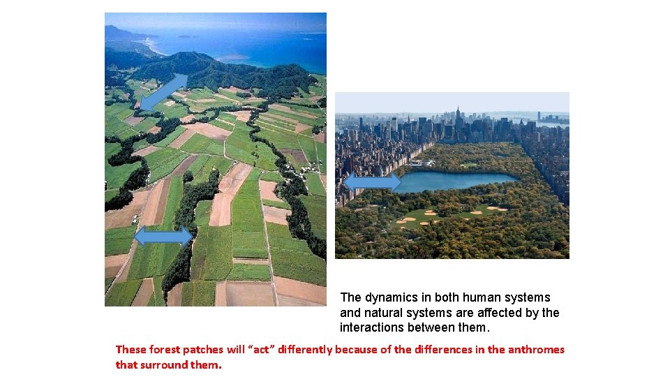 The dynamics in both human systems and natural systems are affected by the interactions