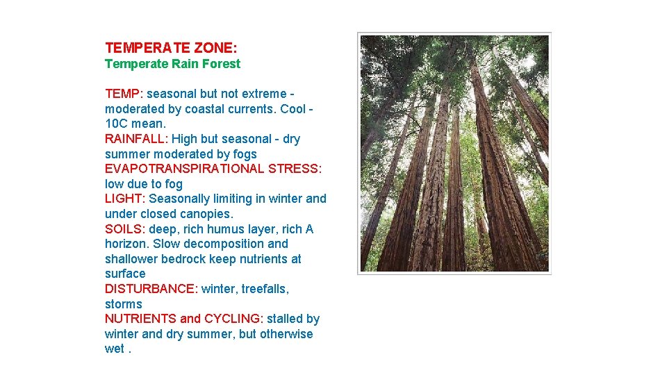 TEMPERATE ZONE: Temperate Rain Forest TEMP: seasonal but not extreme moderated by coastal currents.