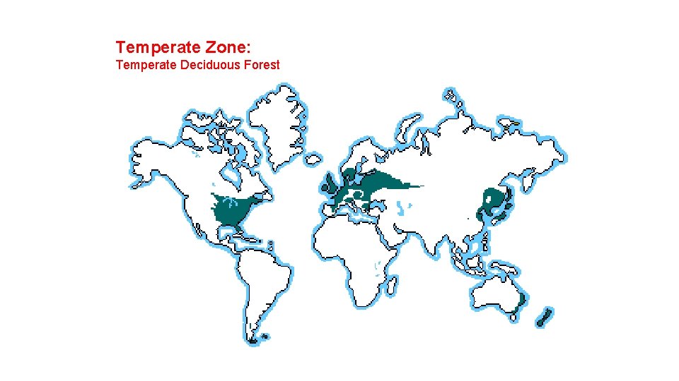 Temperate Zone: Temperate Deciduous Forest 