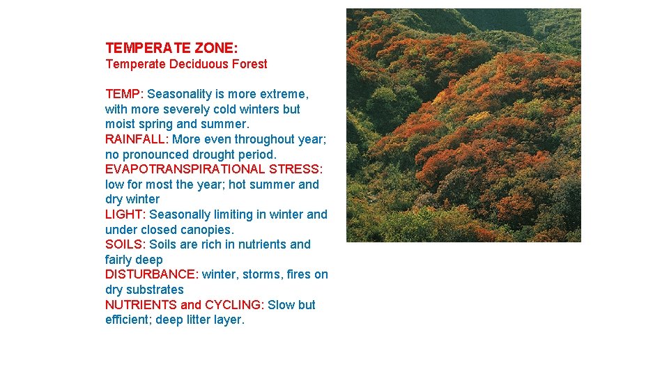 TEMPERATE ZONE: Temperate Deciduous Forest TEMP: Seasonality is more extreme, with more severely cold