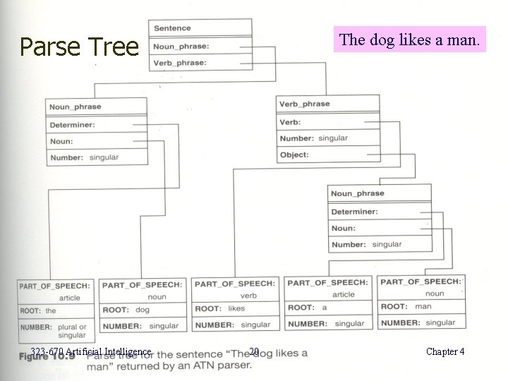 The dog likes a man. Parse Tree 323 -670 Artificial Intelligence 20 Chapter 4 The dog likes a man. Parse Tree 323 -670 Artificial Intelligence 20 Chapter 4