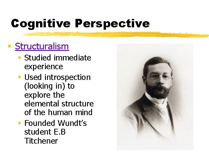 Cognitive Perspective § Structuralism § Studied immediate experience § Used introspection (looking in) to