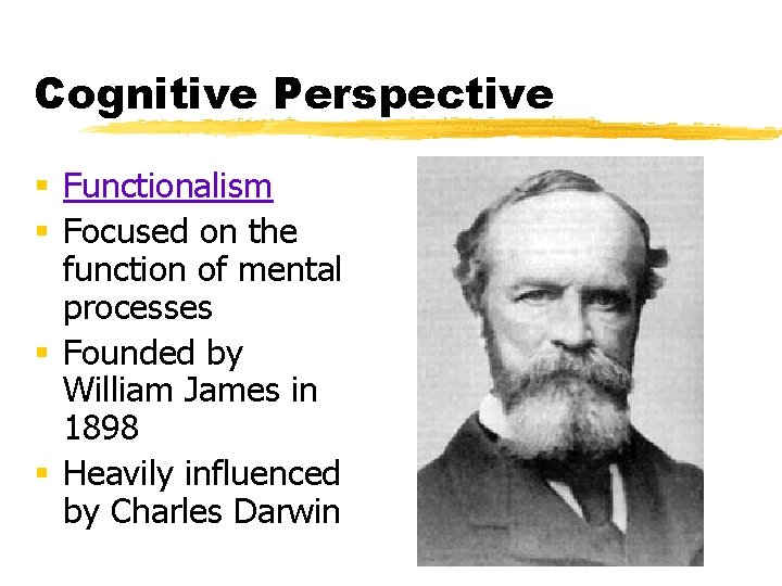 Cognitive Perspective § Functionalism § Focused on the function of mental processes § Founded