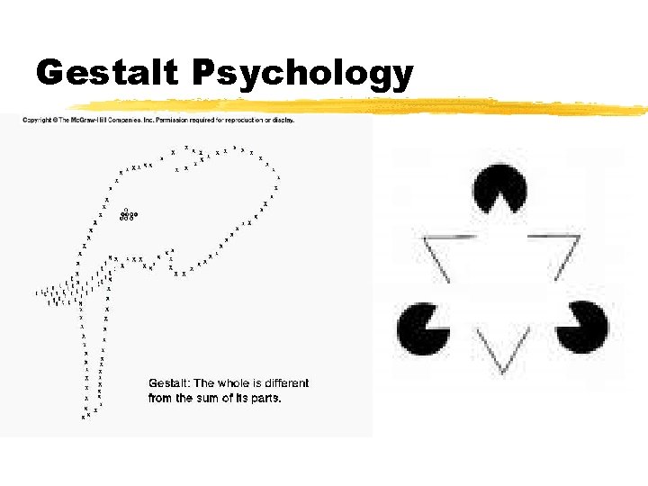 Gestalt Psychology 