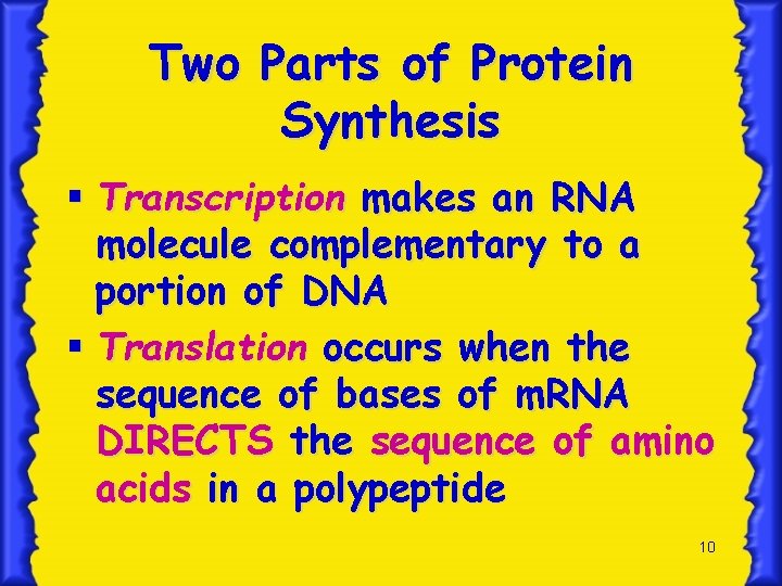 Two Parts of Protein Synthesis § Transcription makes an RNA molecule complementary to a