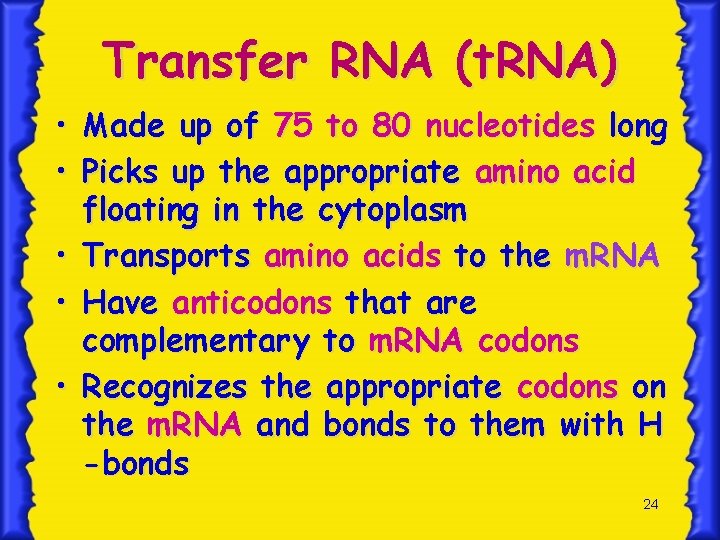 Transfer RNA (t. RNA) • Made up of 75 to 80 nucleotides long •