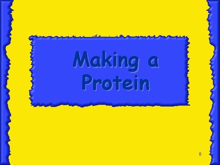 Making a Protein 8 