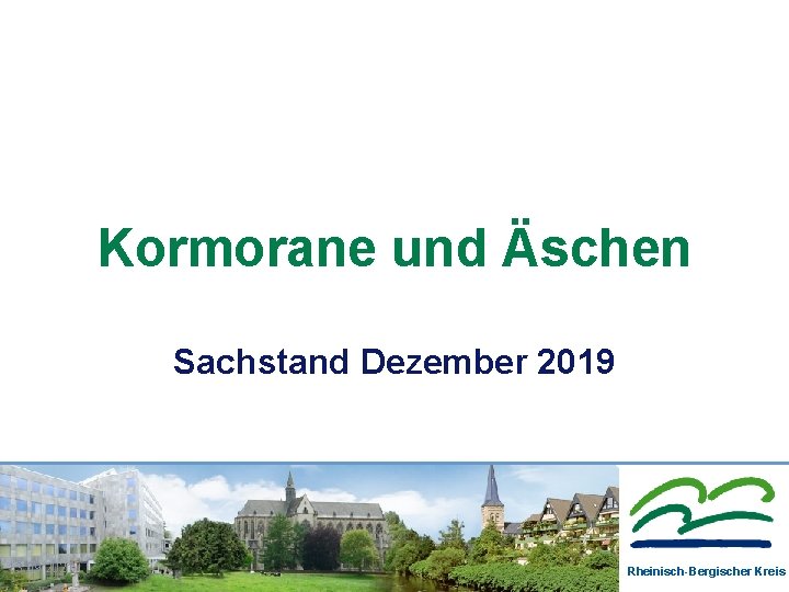 Kormorane und Äschen Sachstand Dezember 2019 Autor RBK Datum 13. 09. 2021 Folie Rheinisch-Bergischer