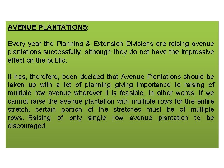 AVENUE PLANTATIONS: Every year the Planning & Extension Divisions are raising avenue plantations successfully,