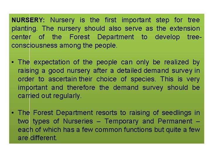 NURSERY: Nursery is the first important step for tree planting. The nursery should also