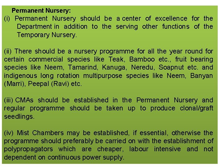 Permanent Nursery: (i) Permanent Nursery should be a center of excellence for the Department