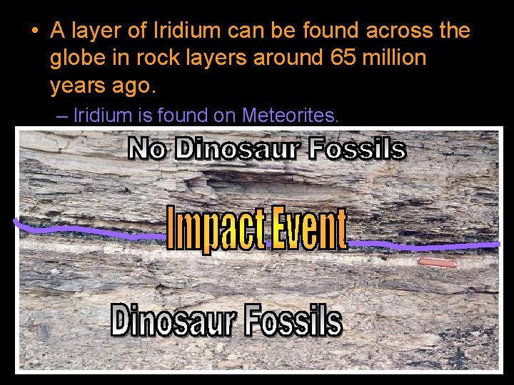  • A layer of Iridium can be found across the globe in rock