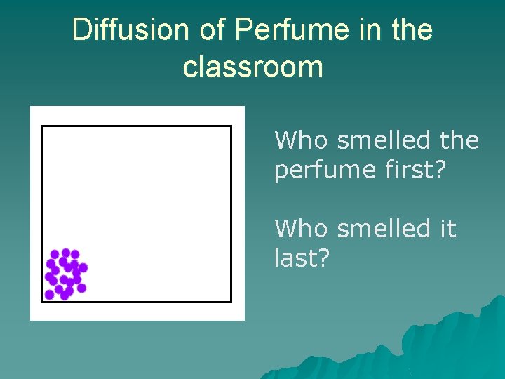 Diffusion of Perfume in the classroom Who smelled the perfume first? Who smelled it