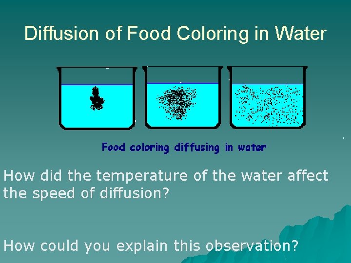 Diffusion of Food Coloring in Water How did the temperature of the water affect