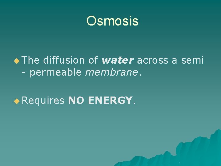 Osmosis u The diffusion of water across a semi - permeable membrane. u Requires