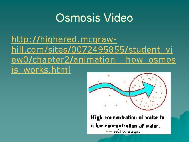 Osmosis Video http: //highered. mcgrawhill. com/sites/0072495855/student_vi ew 0/chapter 2/animation__how_osmos is_works. html 