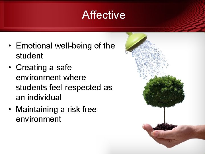 Affective • Emotional well-being of the student • Creating a safe environment where students