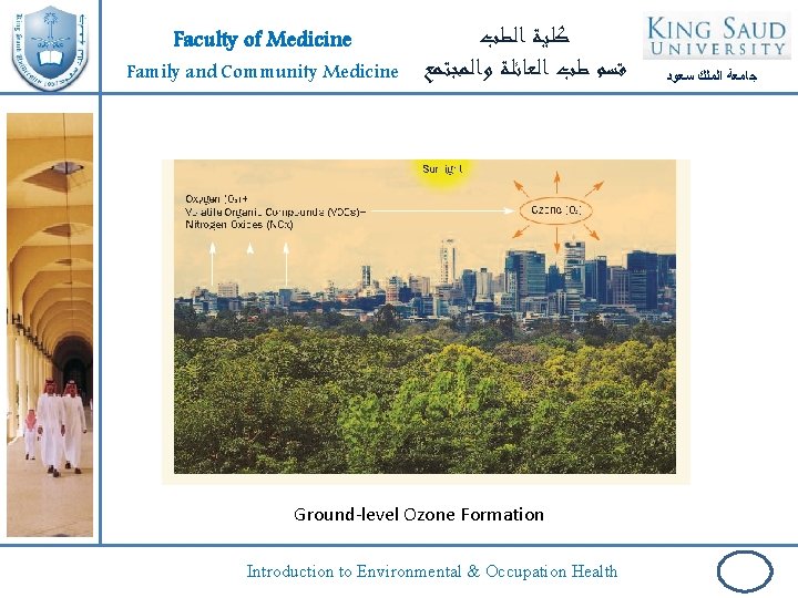 Faculty of Medicine Family and Community Medicine ﻛﻠﻴﺔ ﺍﻟﻄﺐ ﻗﺴﻢ ﻃﺐ ﺍﻟﻌﺎﺋﻠﺔ ﻭﺍﻟﻤﺠﺘﻤﻊ Ground-level