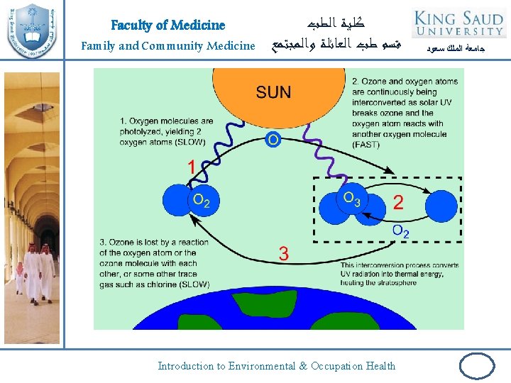 Faculty of Medicine Family and Community Medicine ﻛﻠﻴﺔ ﺍﻟﻄﺐ ﻗﺴﻢ ﻃﺐ ﺍﻟﻌﺎﺋﻠﺔ ﻭﺍﻟﻤﺠﺘﻤﻊ Introduction