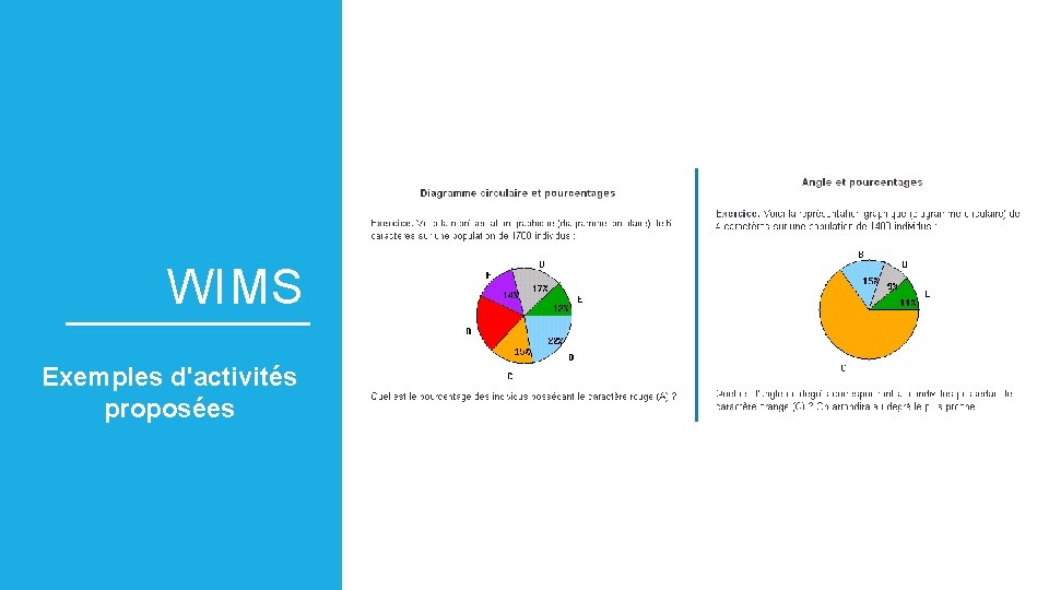 WIMS Exemples d'activités proposées 