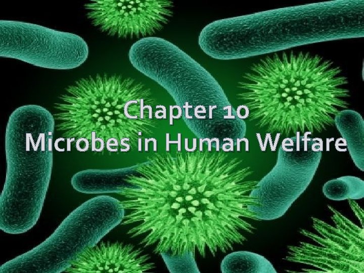 Chapter 10 Microbes in Human Welfare 