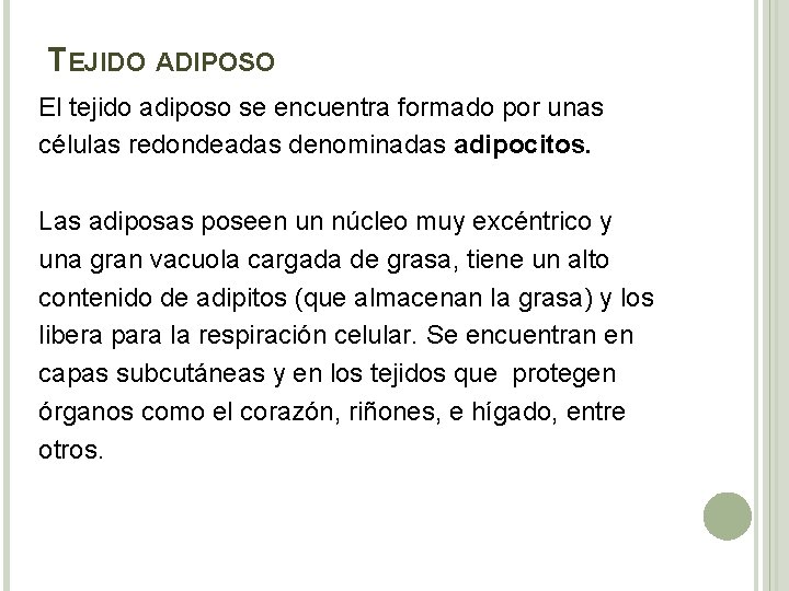 TEJIDO ADIPOSO El tejido adiposo se encuentra formado por unas células redondeadas denominadas adipocitos.