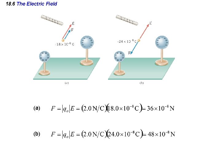 18. 6 The Electric Field (a) (b) 