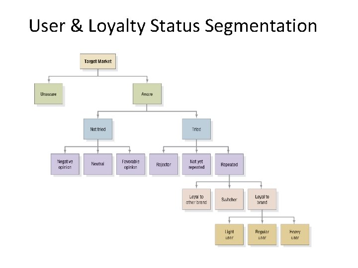 User & Loyalty Status Segmentation 