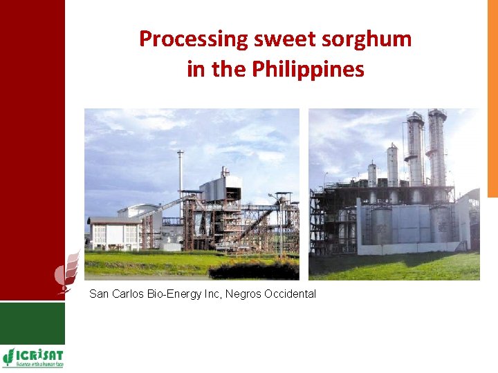Processing sweet sorghum in the Philippines San Carlos Bio-Energy Inc, Negros Occidental 