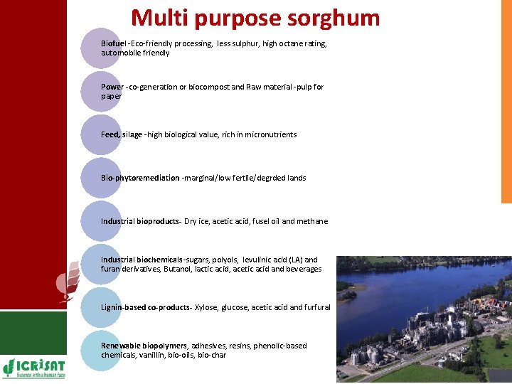 Multi purpose sorghum Biofuel -Eco-friendly processing, less sulphur, high octane rating, automobile friendly Power