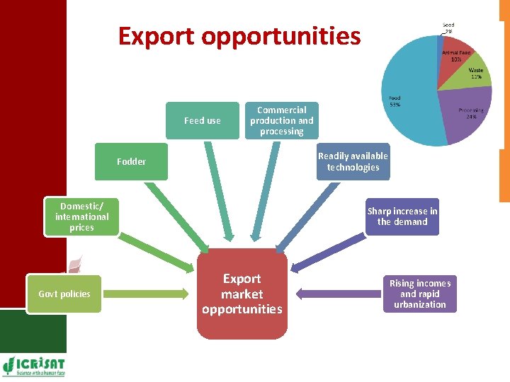 Export opportunities Feed use Commercial production and processing Readily available technologies Fodder Domestic/ international
