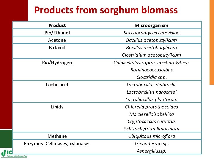 Products from sorghum biomass Product Bio/Ethanol Acetone Butanol Bio/Hydrogen Lactic acid Lipids Methane Enzymes