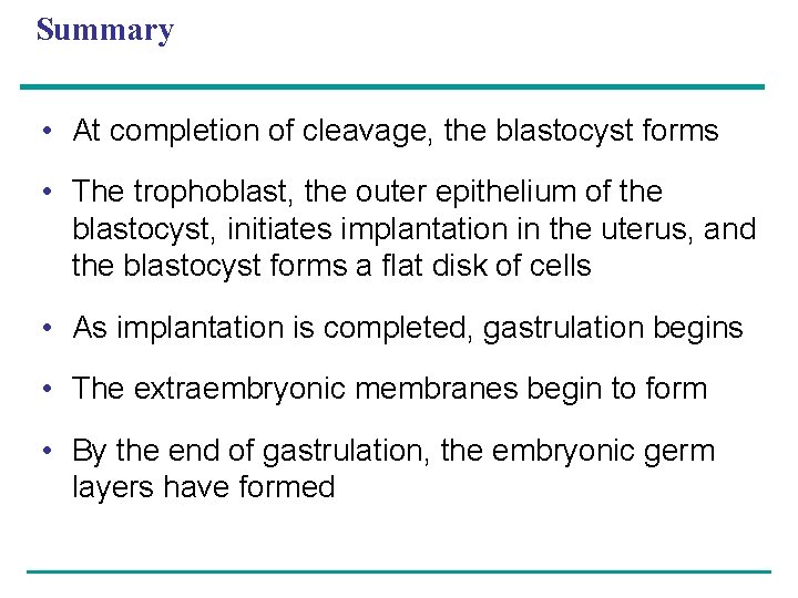 Summary • At completion of cleavage, the blastocyst forms • The trophoblast, the outer