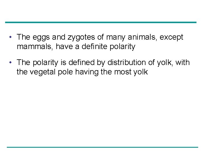  • The eggs and zygotes of many animals, except mammals, have a definite