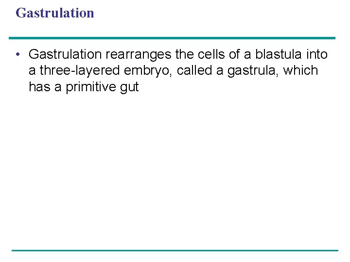 Gastrulation • Gastrulation rearranges the cells of a blastula into a three-layered embryo, called