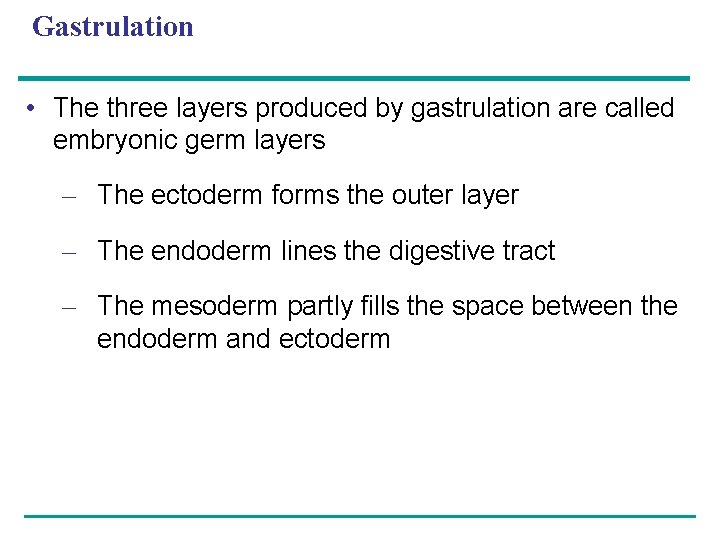 Gastrulation • The three layers produced by gastrulation are called embryonic germ layers –