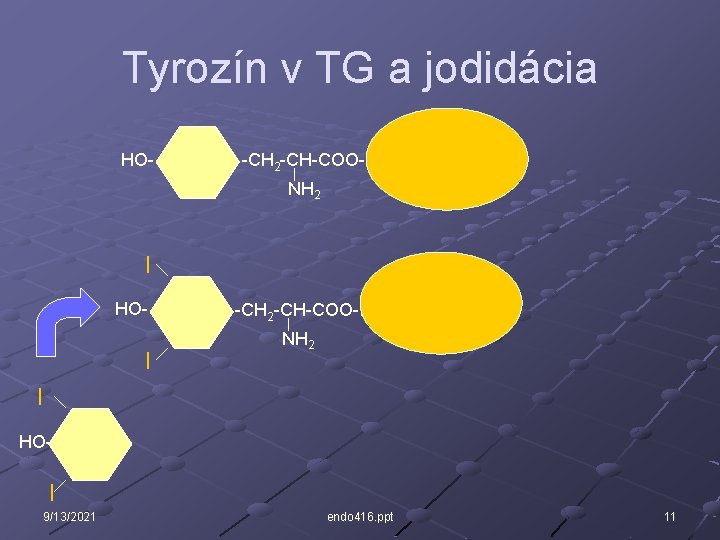 Tyrozín v TG a jodidácia HO- -CH 2 -CH-COO-B NH 2 I HO- I