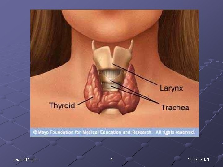 endo 416. ppt 4 9/13/2021 